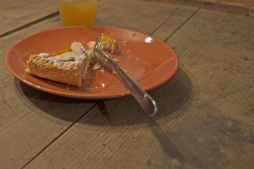 Le Castagne Matte Bed and Breakfast Stenico Εξωτερικό φωτογραφία