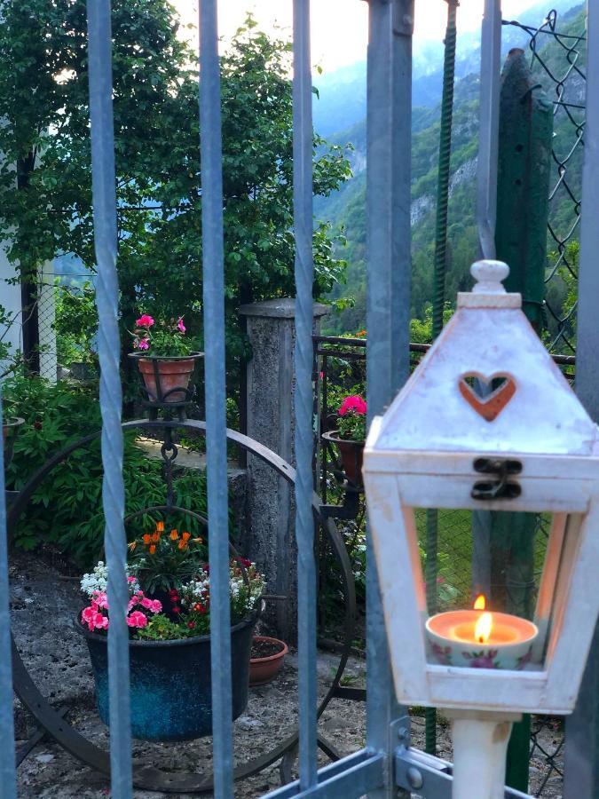Le Castagne Matte Bed and Breakfast Stenico Εξωτερικό φωτογραφία